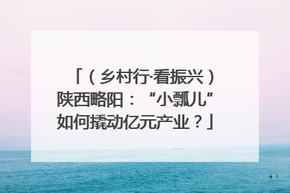 （乡村行·看振兴）陕西略阳：“小瓢儿”如何撬动亿元产业？