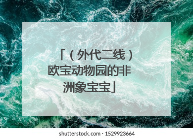 （外代二线）欧宝动物园的非洲象宝宝
