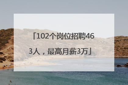 102个岗位招聘463人，最高月薪3万