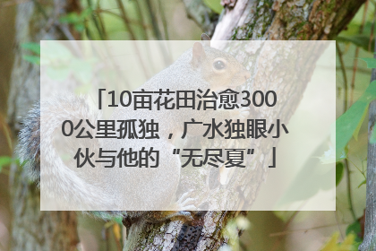 10亩花田治愈3000公里孤独，广水独眼小伙与他的“无尽夏”