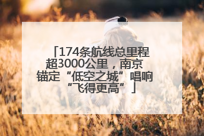 174条航线总里程超3000公里，南京锚定“低空之城”唱响“飞得更高”