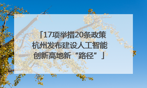17项举措20条政策 杭州发布建设人工智能创新高地新“路径”