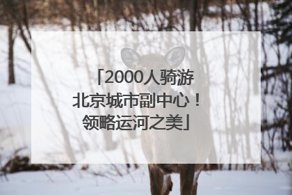2000人骑游北京城市副中心！领略运河之美