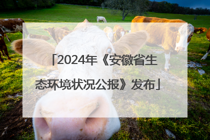 2024年《安徽省生态环境状况公报》发布