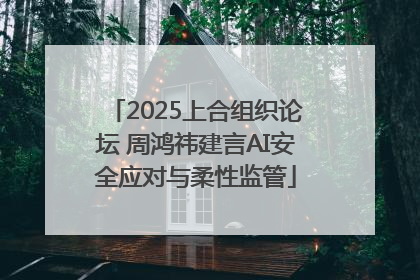 2025上合组织论坛 周鸿祎建言AI安全应对与柔性监管
