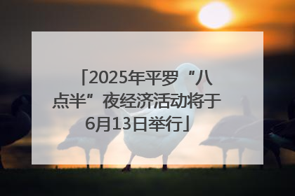 2025年平罗“八点半”夜经济活动将于6月13日举行