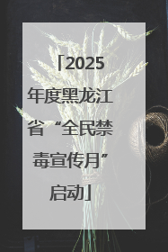 2025年度黑龙江省“全民禁毒宣传月”启动