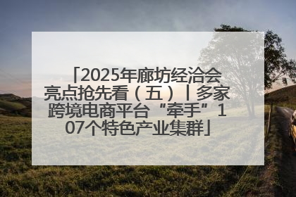 2025年廊坊经洽会亮点抢先看（五）丨多家跨境电商平台“牵手”107个特色产业集群