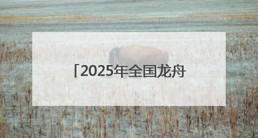 2025年全国龙舟大联动暨“划遍四川”乐山夹江站开赛