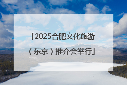 2025合肥文化旅游（东京）推介会举行