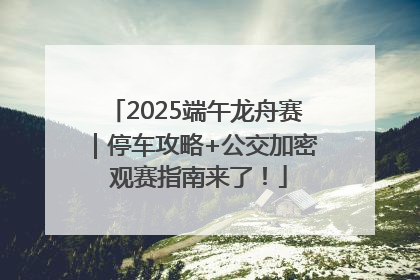 2025端午龙舟赛｜停车攻略+公交加密 观赛指南来了！