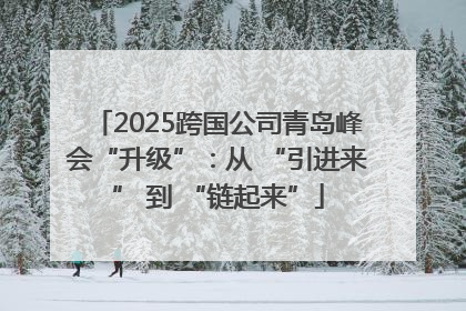 2025跨国公司青岛峰会“升级”：从 “引进来” 到 “链起来”