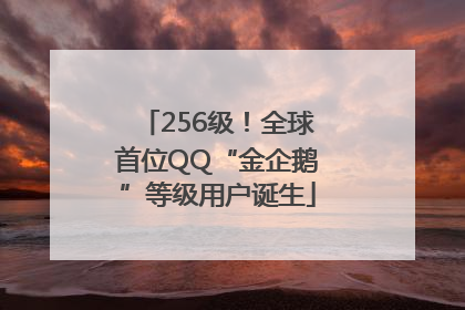 256级！全球首位QQ“金企鹅”等级用户诞生