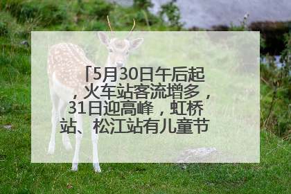 5月30日午后起，火车站客流增多，31日迎高峰，虹桥站、松江站有儿童节和端午亲子活动