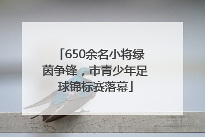 650余名小将绿茵争锋，市青少年足球锦标赛落幕