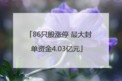 86只股涨停 最大封单资金4.03亿元