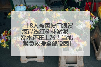 8人被困厦门浪漫海岸线红树林淤泥，潮水还在上涨！当地紧急救援全部脱困