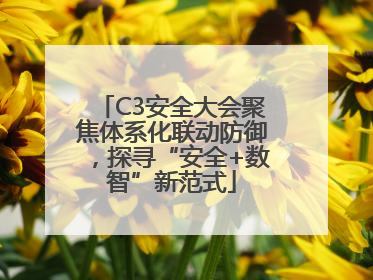 C3安全大会聚焦体系化联动防御，探寻“安全+数智”新范式